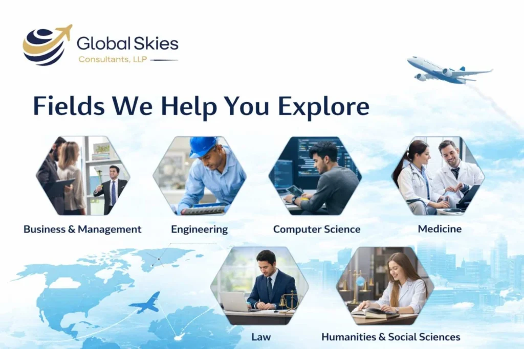 Fields We Help You Explore